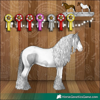 Horse Color:Black Splash Tobiano Rabicano