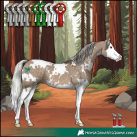 Horse Color:White Spotted Silver Brown Dun Splash 