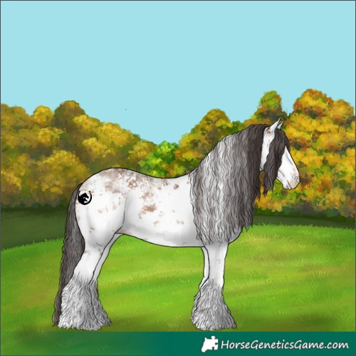 Horse Color:White Spotted Sable Champagne Sabino