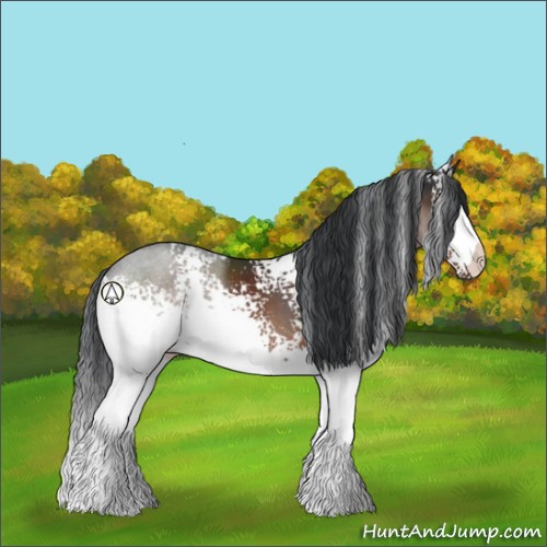 Horse Color:White Spotted Brown Sabino 
