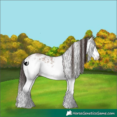 Horse Color:White Spotted Classic Champagne 