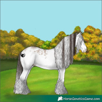 Horse Color:White Spotted Classic Champagne 
