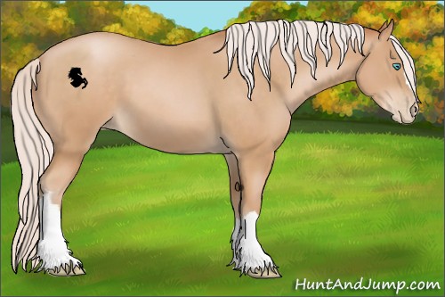 Horse Color:Silver Buckskin Pearl