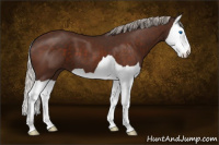 Horse Color:Silver Brown Splash 