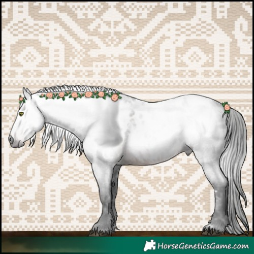 Horse Color:Gray White Spotted Brown Roan Appaloosa 