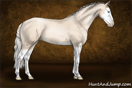 Horse Color:Gold Cream Champagne Pearl Sabino Splash