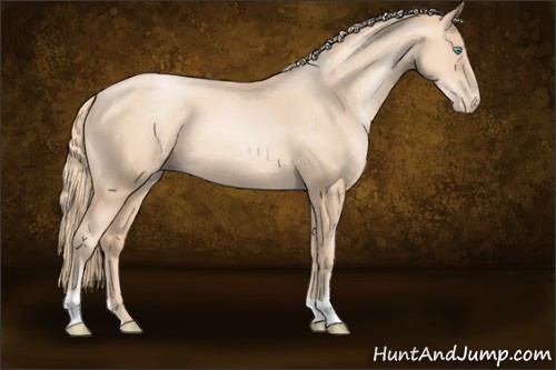 Horse Color:Gold Champagne Pearl 