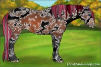 Horse Color:Painted White Spotted Bay Splash 