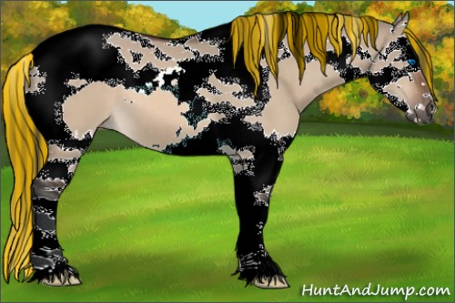 Horse Color:Painted Bay Dun Splash Tobiano