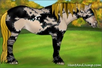 Horse Color:Painted Bay Dun Splash Tobiano 