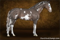 Horse Color:White Spotted Silver Black Splash Frame