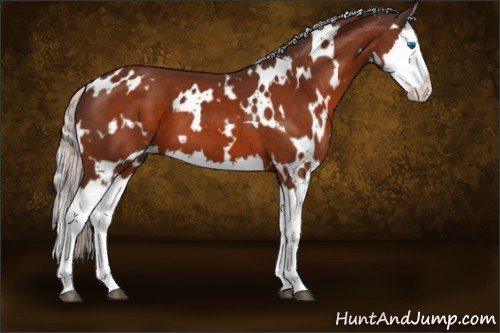 Horse Color:White Spotted Silver Brown Splash 