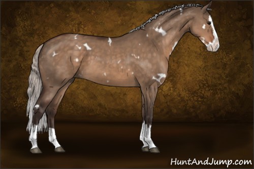 Horse Color:White Spotted Silver Brown Dun Splash 