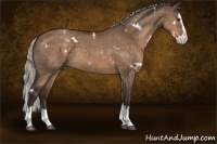 Horse Color:White Spotted Silver Brown Dun Splash 