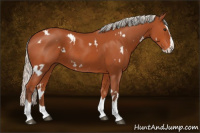Horse Color:White Spotted Silver Brown Splash 