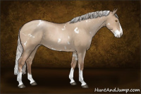 Horse Color:White Spotted Silver Grullo Pearl Splash