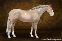 Horse Color:White Spotted Silver Buckskin Pearl Splash
