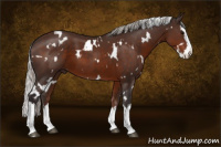 Horse Color:White Spotted Silver Brown Splash 