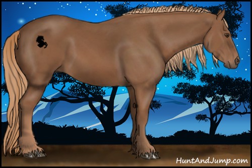 Horse Color:Chestnut Rabicano