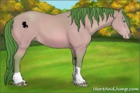 Horse Color:Watercolor Amber Cream Champagne Tobiano 