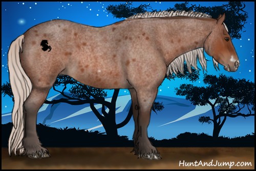 Horse Color:Silver Bay Roan Frame 