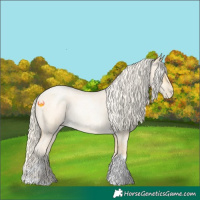 Horse Color:Palomino Roan Pearl  and Palomino Roan Pearl 