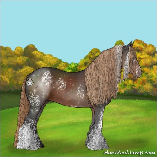 Horse Color:White Spotted Liver Chestnut