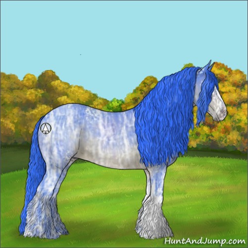 Horse Color:Watercolor White Spotted Brown Ice Sabino Rabicano 