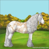 Horse Color:Silver Classic Champagne Sabino Splash