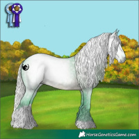Horse Color:Gray Watercolor Silver Black Tobiano 