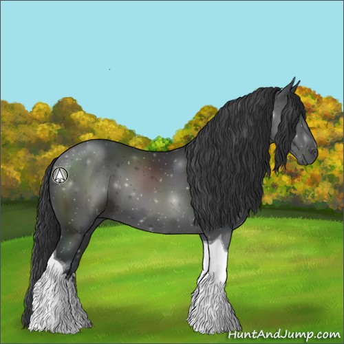 Horse Color:Black Sabino Tobiano