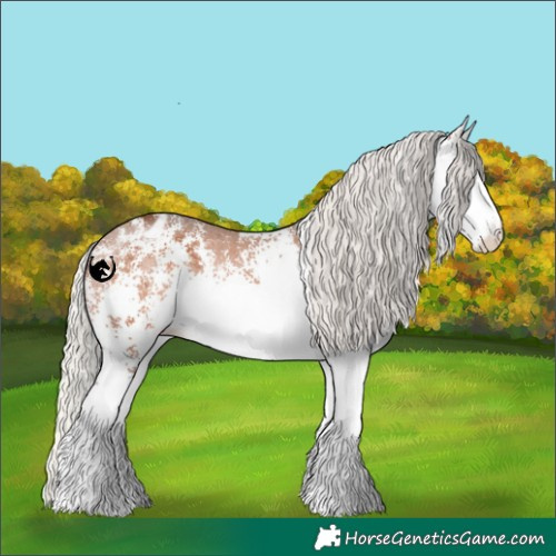 Horse Color:White Spotted Silver Brown Appaloosa 