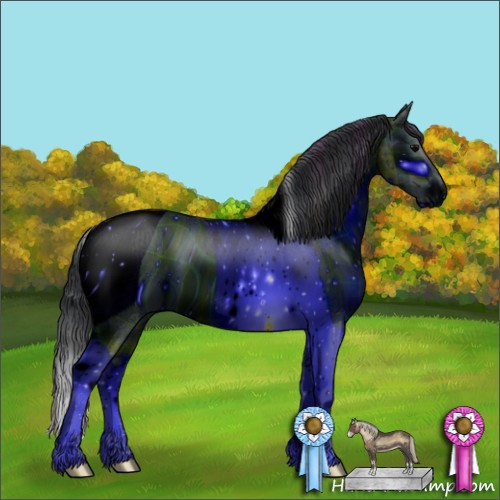 Horse Color:ERROR: UNKNOWN ANOMALY
