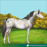 Horse Color:White Spotted Sable Champagne Dun Sabino 