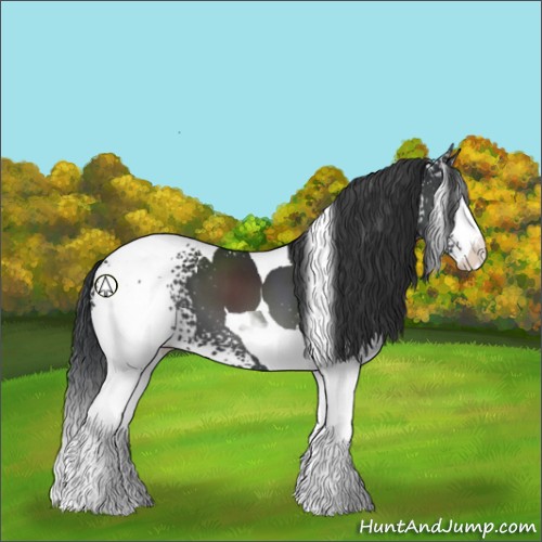 Horse Color:White Spotted Black Splash Tobiano