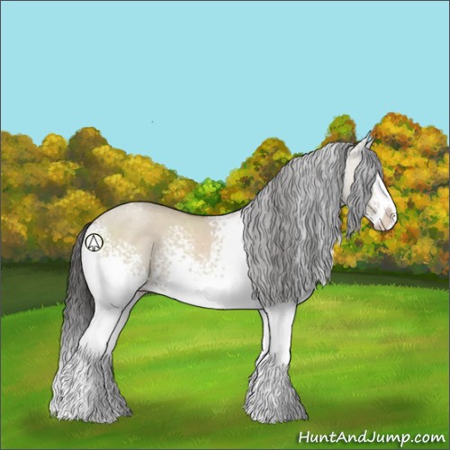 Horse Color:White Spotted Classic Champagne Dun Sabino Splash Rabicano 