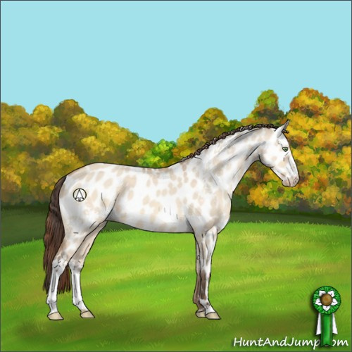 Horse Color:White Spotted Sable Champagne Dun Sabino Near Leopard 