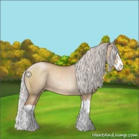 Horse Color:Silver Grullo Pearl Sabino Splash Rabicano 