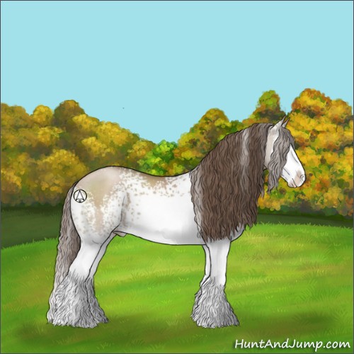 Horse Color:White Spotted Grullo Pearl Sabino Splash 