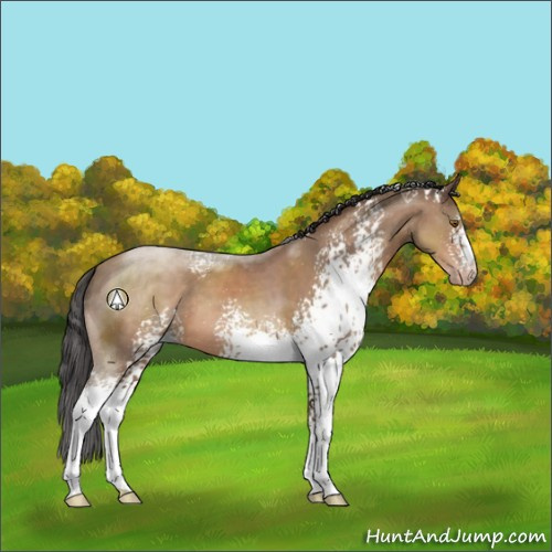 Horse Color:White Spotted Sable Champagne
