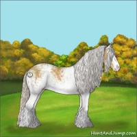 Horse Color:White Spotted Silver Classic Cream Champagne