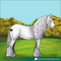 Horse Color:Gray Grullo Sabino Tobiano Rabicano