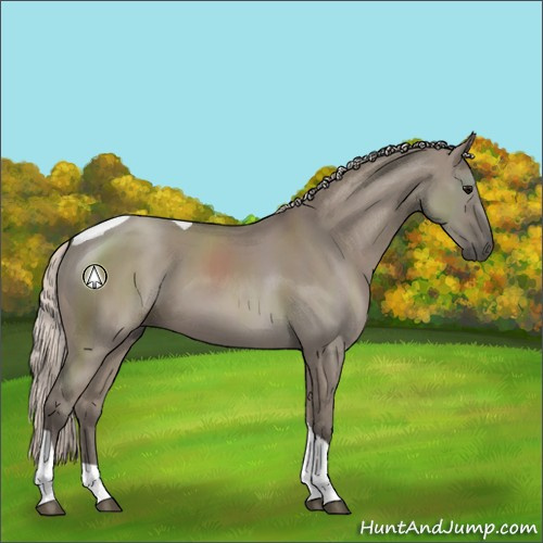 Horse Color:Silver Grullo Sabino Tobiano Rabicano