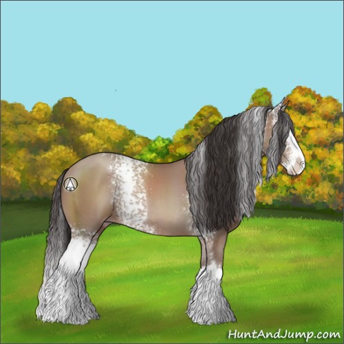 Horse Color:White Spotted Classic Champagne Sabino Splash 