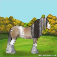 Horse Color:White Spotted Classic Champagne Sabino Splash