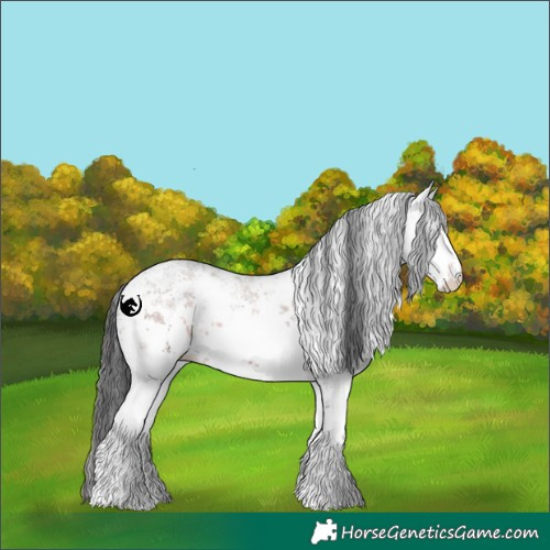 Horse Color:White Spotted Brown Sabino 