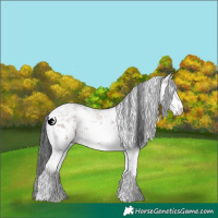 Horse Color:White Spotted Brown Sabino