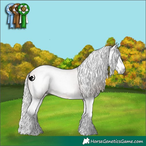 Horse Color:Gray Silver Grullo Pearl Sabino Splash
