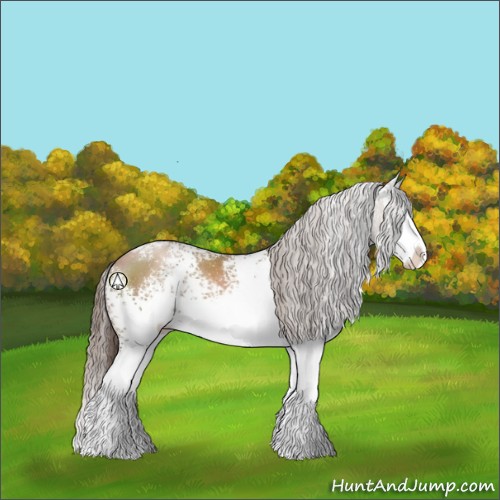 Horse Color:White Spotted Black Pearl Sabino Splash 