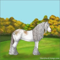 Horse Color:White Spotted Black Pearl Sabino Splash 